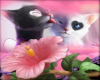 Lover kitties