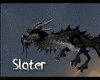 Slater Dragon M/F