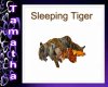 sleep time tiger