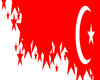 TURKISH BANNER FLAG