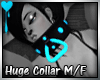 D~Huge Collar:Blue (M/F)