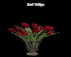 Red Tulips