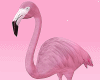 𝐼𝑧,Flamingo