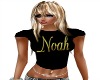 noah t-shirt