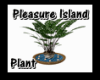 ~GW~PLEASURE PLANT
