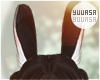 ᠅Bunny Ears