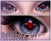 [E]*Red Eye Male*