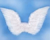 White Soft Wings