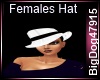 [BD] Females Hat