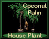 [my]Plant Coconut Palm