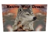 Native Wolf  Dream