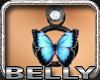 Blue Belly Butterfly