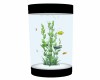 Small Round AQUARIUM