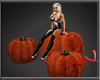 (MV) Halloween Pumpkins