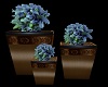 Blue Set of Flowers