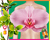 Flower Top