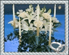 ~WEDDING~_Floral Stand
