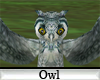 (A) Owl