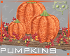 Pumpkins 7a Ⓚ