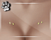 Breast Studs -Gold