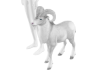 White Goat Pet