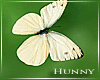 H. Butterflies