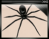[xx] Spiders Everywhere 