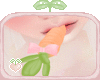 🌱 Yummy Carrot Pink
