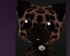 Cute Jaguar Pets Cats Halloween Costumes Animals Funny