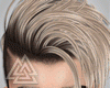 Hayden Platinum