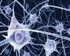 Neuro Science Art 4