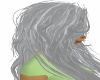 Silver Wolf Hair 2