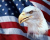 American Eagle Flag 2