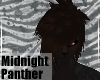 MidnightPanther-M HairV1