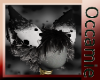Conquest  Black Ears