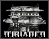 EPIC CHINA DJ LIGHT