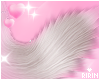 Kitty Tail + Black Bow