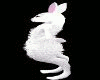 m/f White Bunny Head