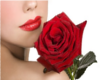 Rose Lady 3