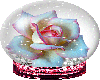 colorful rose globe