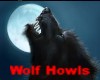 Wolf Howls M/F