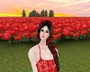 MY Red Tulip Field