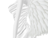 Angel BrownVU