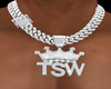 TSW  CUSTOM  CHAIN