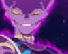 Beerus Avatar