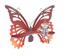 beautiful butterfly seat