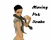 Moving Pet Snake