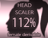 Head Scaler 112%