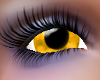 (LMG)Yellow Eyes