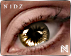! Yellow Male Eyes
